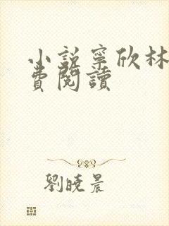 小说宁欣林峰免费阅读