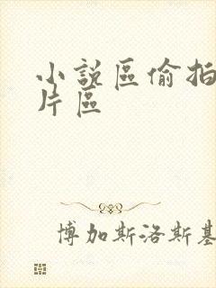 小说区偷拍区图片区