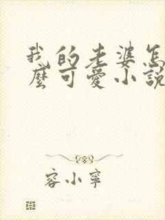 我的老婆怎么这么可爱小说