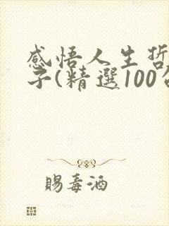 感悟人生哲理句子(精选100句)
