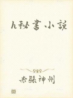 h秘书小说