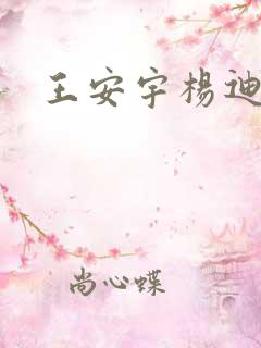 王安宇杨迪综艺