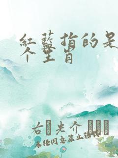 红蓝指的是哪一个生肖