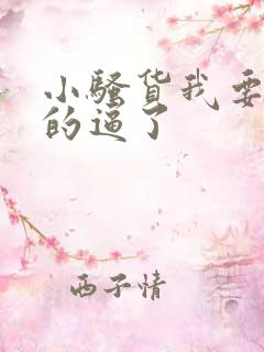 小骚货我要操你的逼了