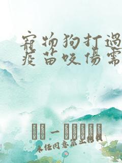 宠物狗打过狂犬疫苗咬伤需要打针吗