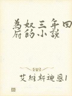 为奴三年回到侯府的小说