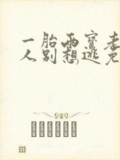 一胎两宝老婆大人别想逃免费阅读全文小说