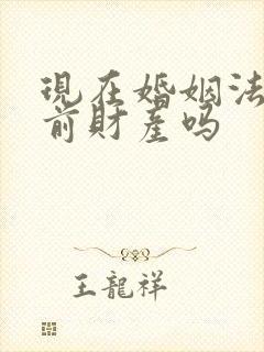 现在婚姻法有婚前财产吗