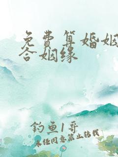 免费算婚姻八字合姻缘