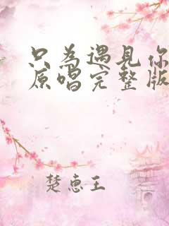 只为遇见你歌曲原唱完整版