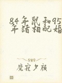 84年鼠和95年猪相配婚姻如何