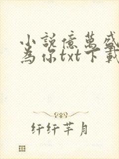小说亿万盛宠只为你txt下载