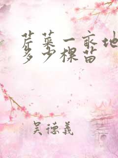 芹菜一亩地种植多少棵苗