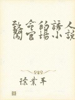 致命的诱人校花闯官场小说全文阅读