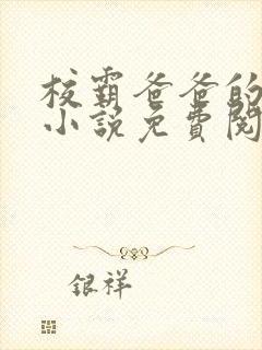 校霸爸爸的秘密小说免费阅读