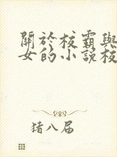 关于校霸与乖乖女的小说校园文
