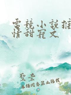 电竞小说推荐言情甜宠文