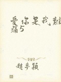 爱你是我难言的痛5