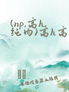 (np,高h,纯肉)高h高辣文