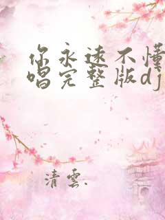 你永远不懂我原唱完整版dj