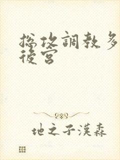 总攻调教多受奴后宫