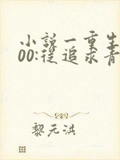 小说一重生2000:从追求青涩校花同桌开始