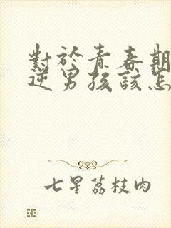 对于青春期的叛逆男孩该怎样管教