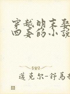 穿越明末娶三妻四妾的小说