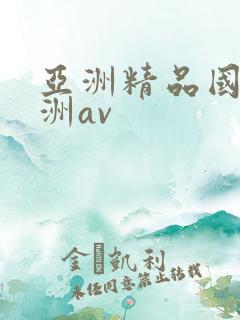 亚洲精品国产亚洲av