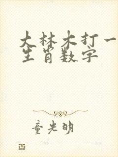 大林木打一最佳生肖数字