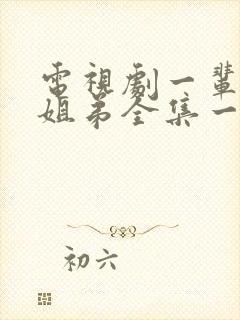 电视剧一辈子的姐弟全集一共多少集