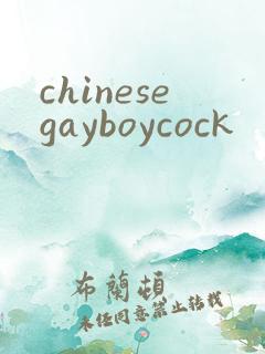 chinesegayboycock