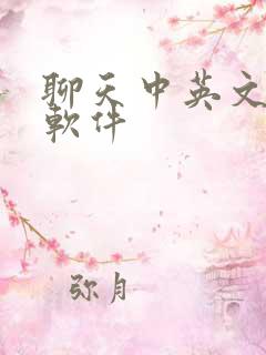 聊天中英文翻译软件