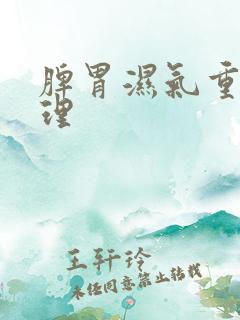 脾胃湿气重咋调理