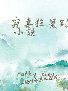 宠妻狂魔别太坏 小说