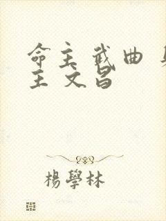 命主 武曲 身主 文昌