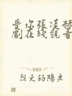 爱你张凌赫电视剧在线观看免费