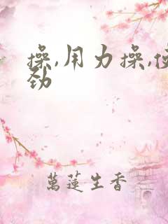 操,用力操,使劲