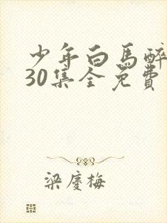 少年白马醉春风30集全免费观看
