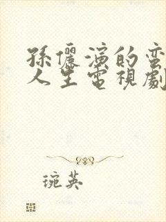 孙俪演的蛮好的人生电视剧免费播放
