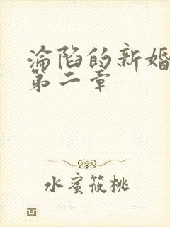 沦陷的新婚少妇第二章