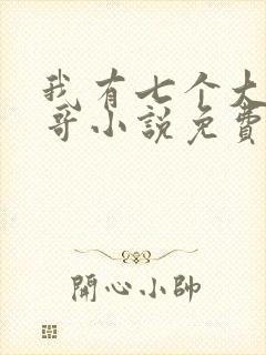 我有七个大佬哥哥小说免费阅读无弹窗
