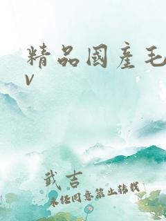 精品国产毛片av