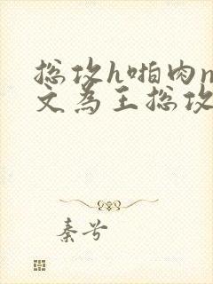 总攻h啪肉np文为王总攻