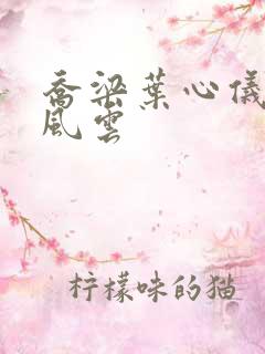 乔梁叶心仪都市风云