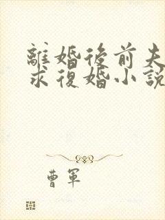 离婚后前夫哭着求复婚小说完整版大结局