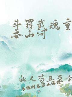 斗罗武魂重瞳气吞山河