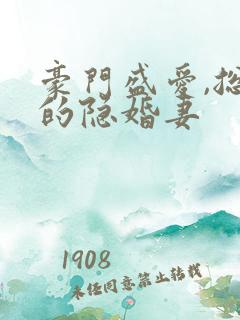 豪门盛爱,总裁的隐婚妻