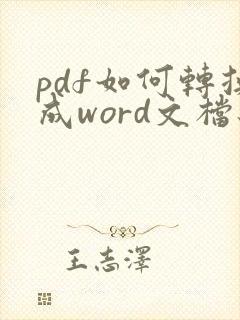 pdf如何转换成word文档编辑