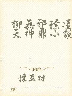 柳无邪徐凌雪吞天神鼎小说